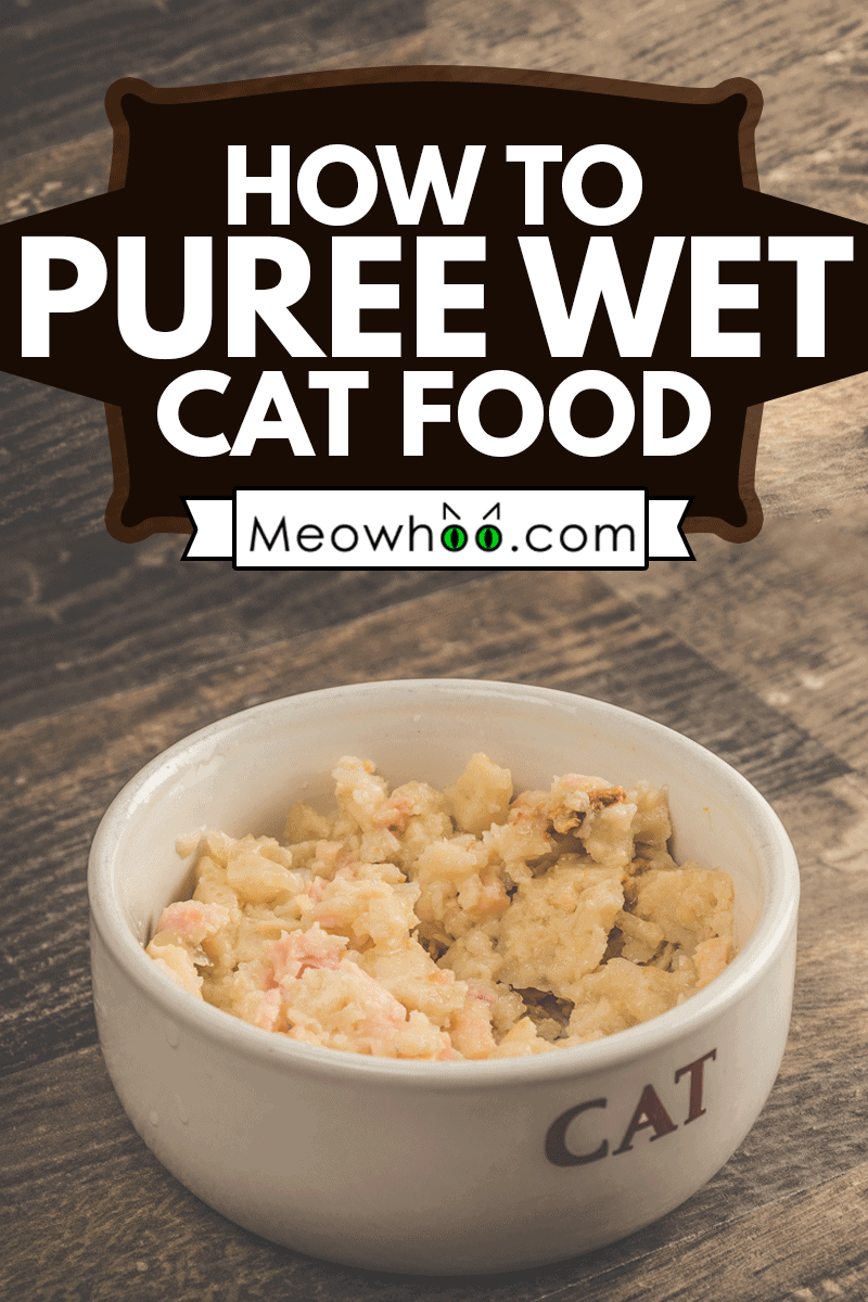 Healthy and delicious wet cat food, all natural and organic, with chicken and rice, How To Puree Wet Cat Food