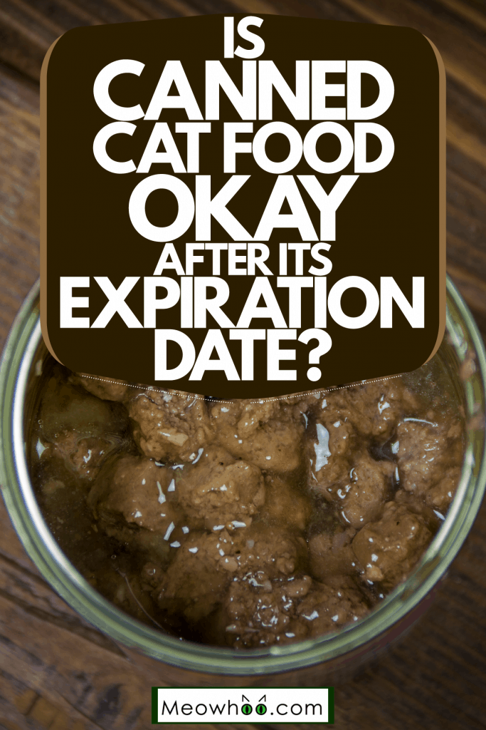 An up close photo of opened cat food placed on the floor, Is Canned Cat Food Ok After Its Expiration Date?