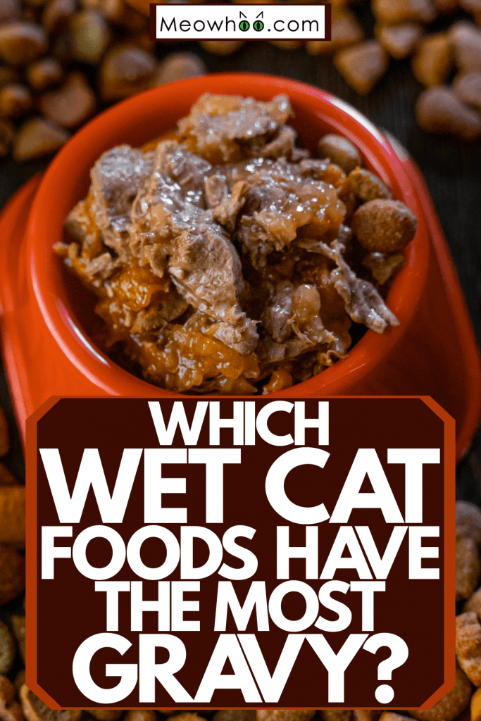 A bowl of wet cat food placed on top of different kinds of cat food, Which Wet Cat Foods Have The Most Gravy?