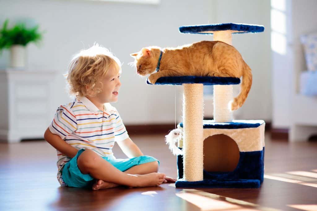 A cute kid playing with his ginger cat sitting on the cat tree