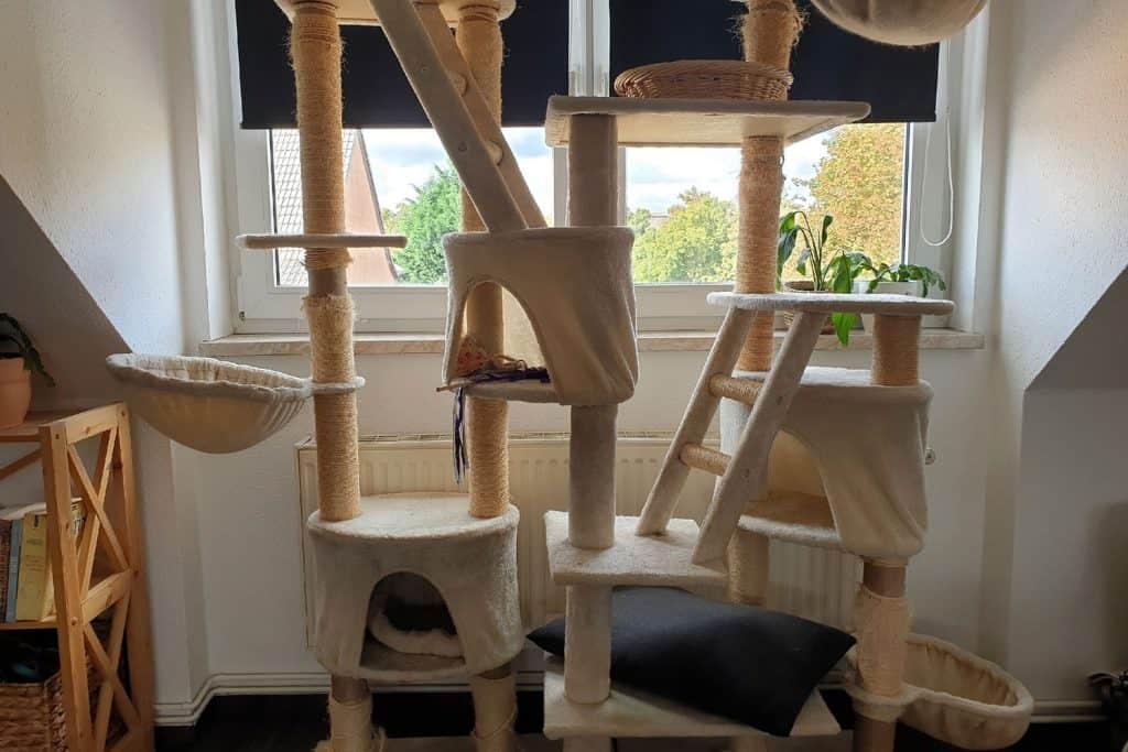 A huge cat tree inside a living room, Are Cat Trees Safe For Kittens?
