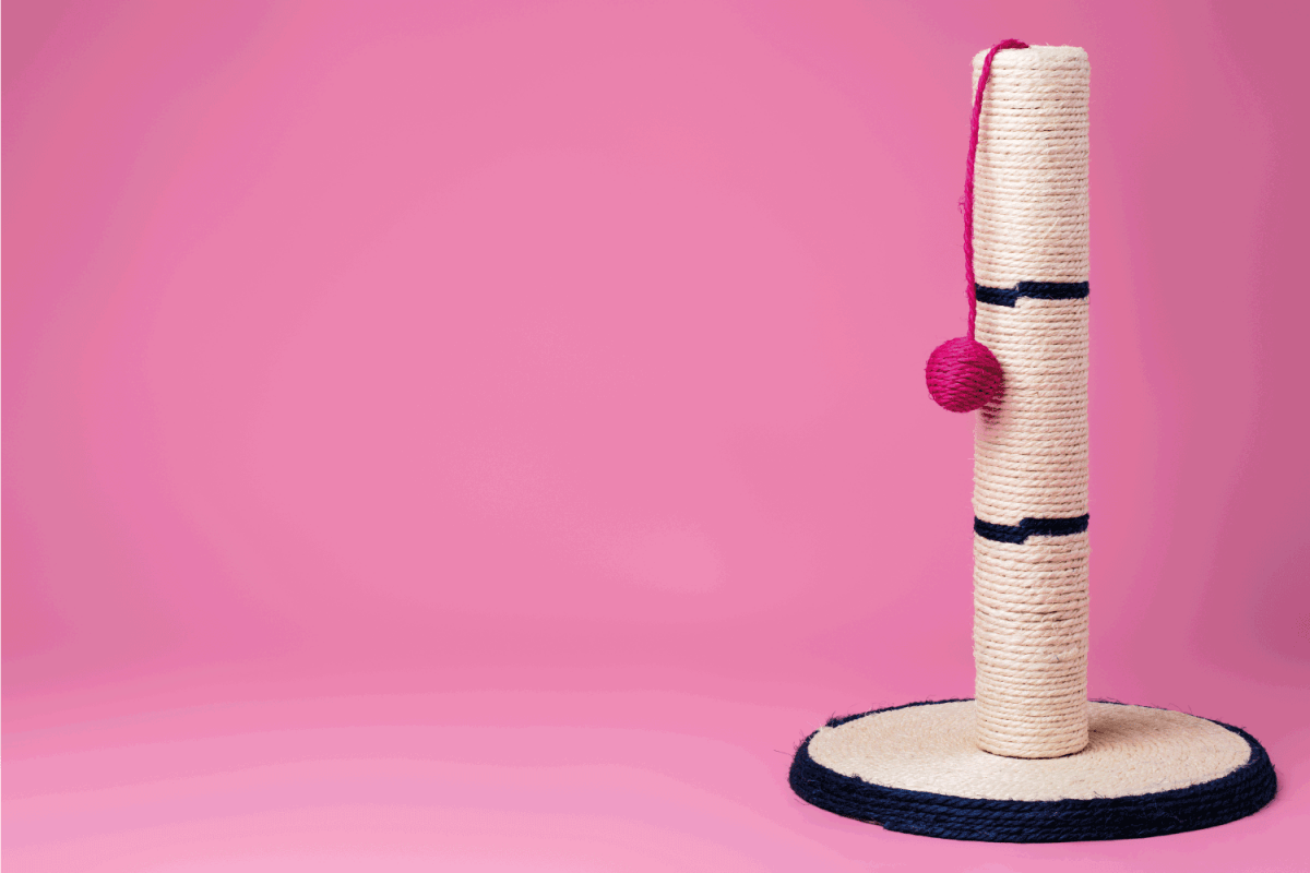 Scratching post for cats on pink background