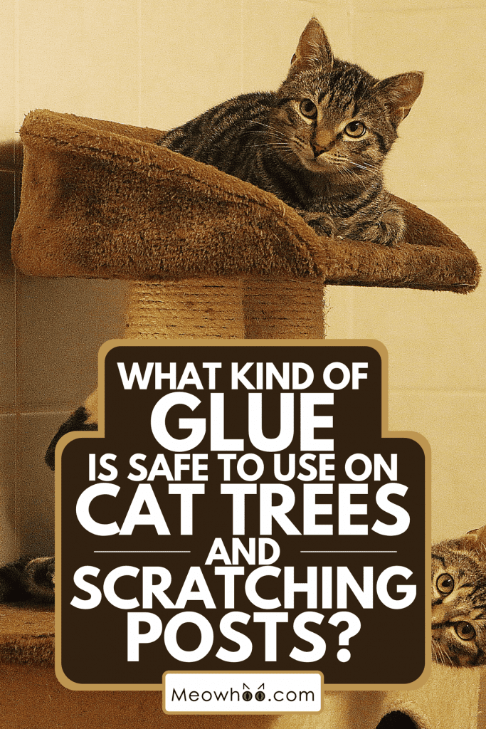 Cats on a scratching post, What Kind Of Glue Is Safe To Use On Cat Trees And Scratching Posts?