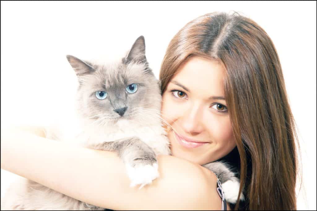 Woman hold her lovely Ragdoll cat with blue eye