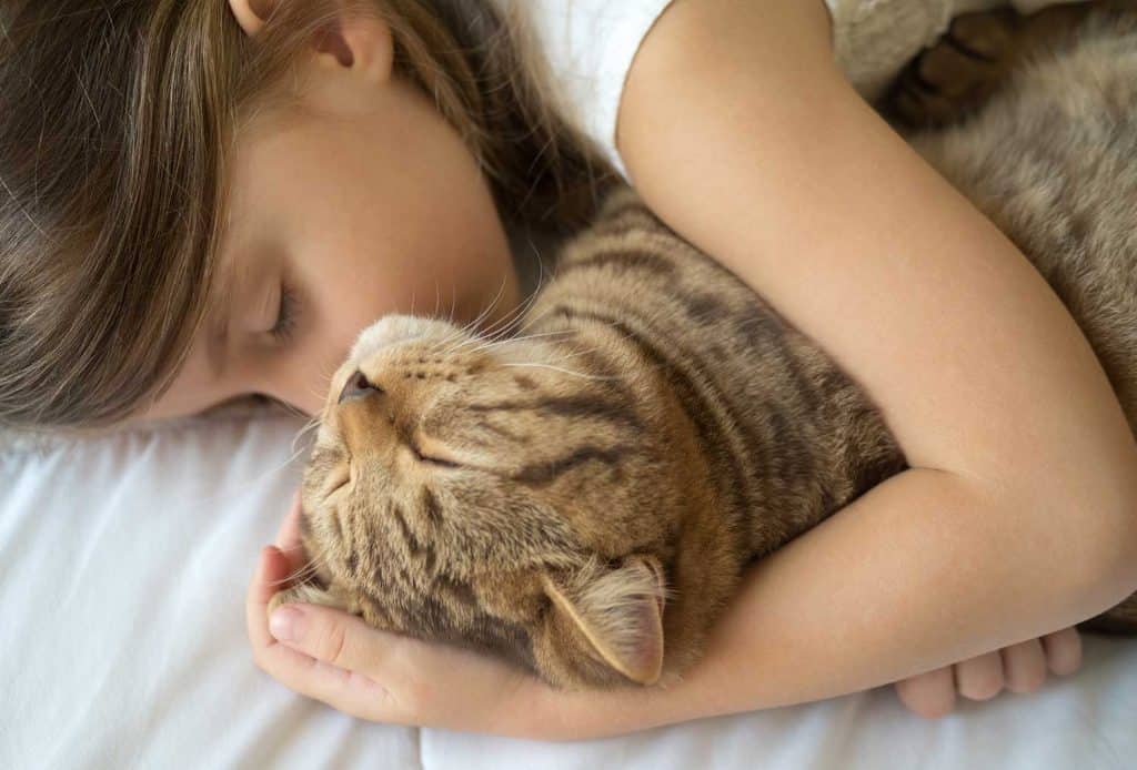 Caucasian girl hugging cat on bed