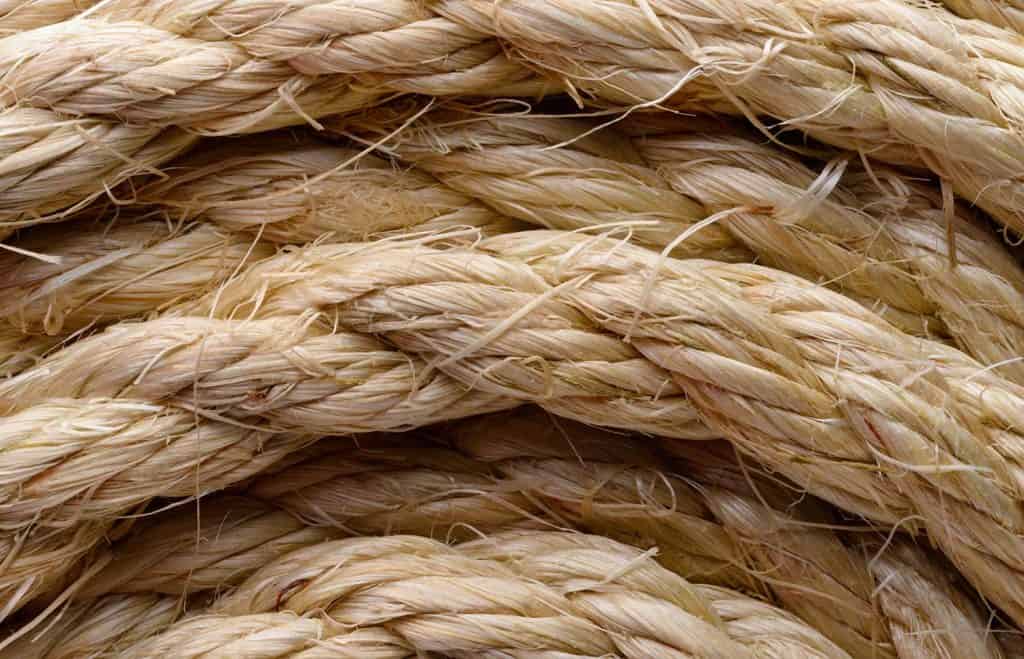 Close-up shot of sisal rope