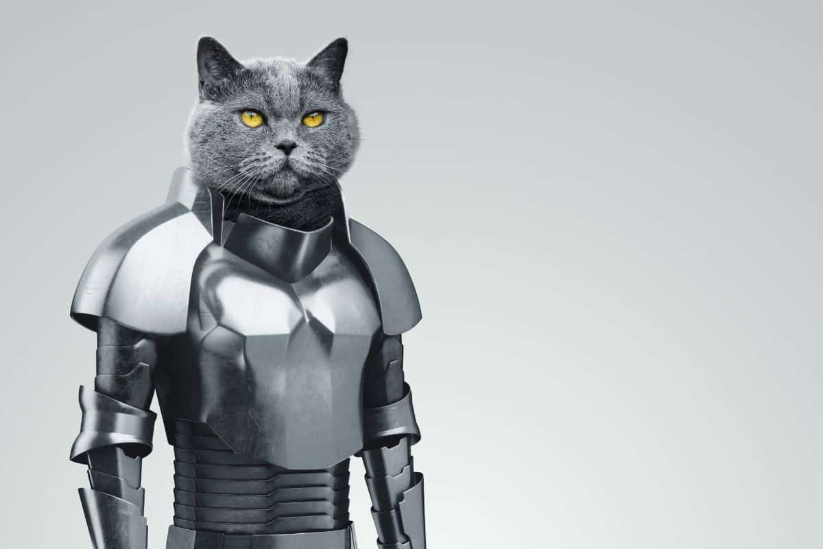 the head of an animal on a human body, the head of a cat in knightly armor. modern design, magazine style.