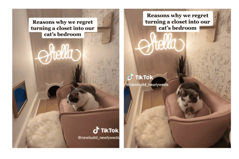 Cat with an own room sitting on a coach, Feline Bedroom Goes Viral, Inspiring Customized Spaces For Fur Babies Everywhere