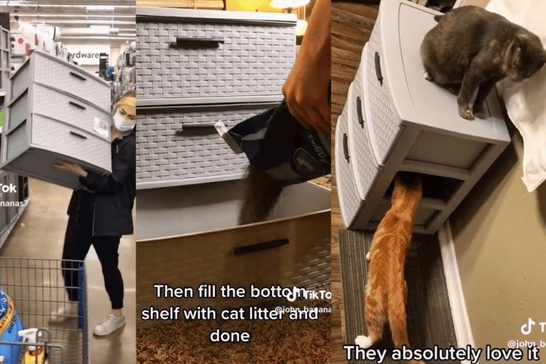 A collage photo of a hidden litter box made out of plastic drawer, Hidden Litter Box That Your Cats Will Love: Purrfect DIY Hack