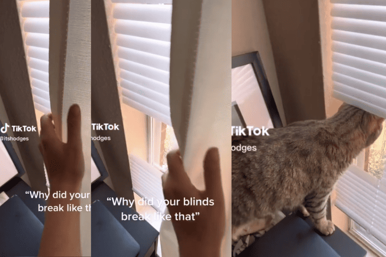 A collaged photo of a cat peaking on a curtain with custom blinds, Cat-Approved Custom Blinds: A Peek into Understanding Your Cat's Needs