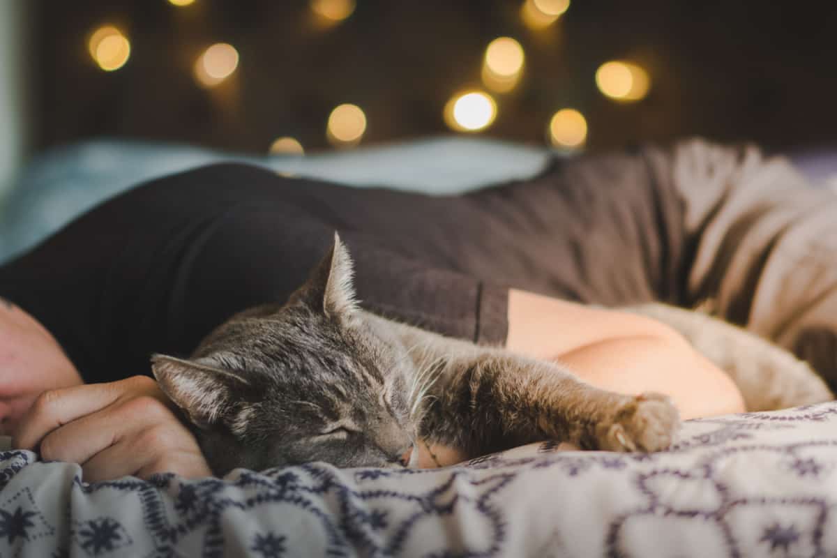 man is sleeping with a cute cat on a bed