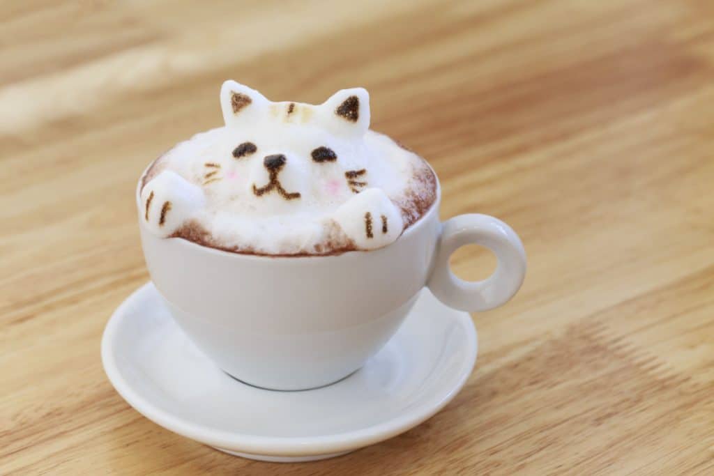 Kitty latte Art