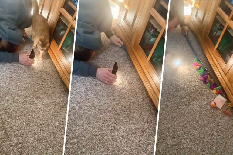Collaged image of a woman taking cat toys underneath the cabinet