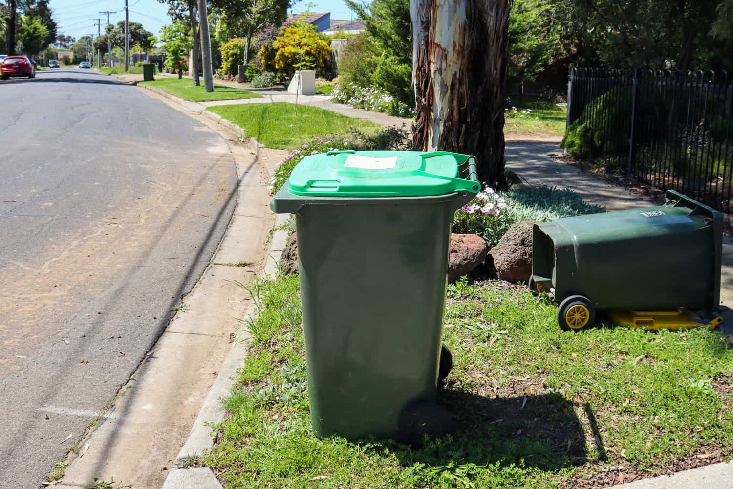 Green garbage disposal bin for collection