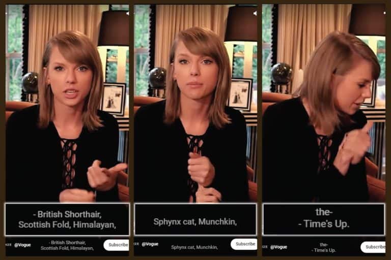How Many Cat Breeds Can Taylor Swift Name? [Hilarious Must-See Challenge]