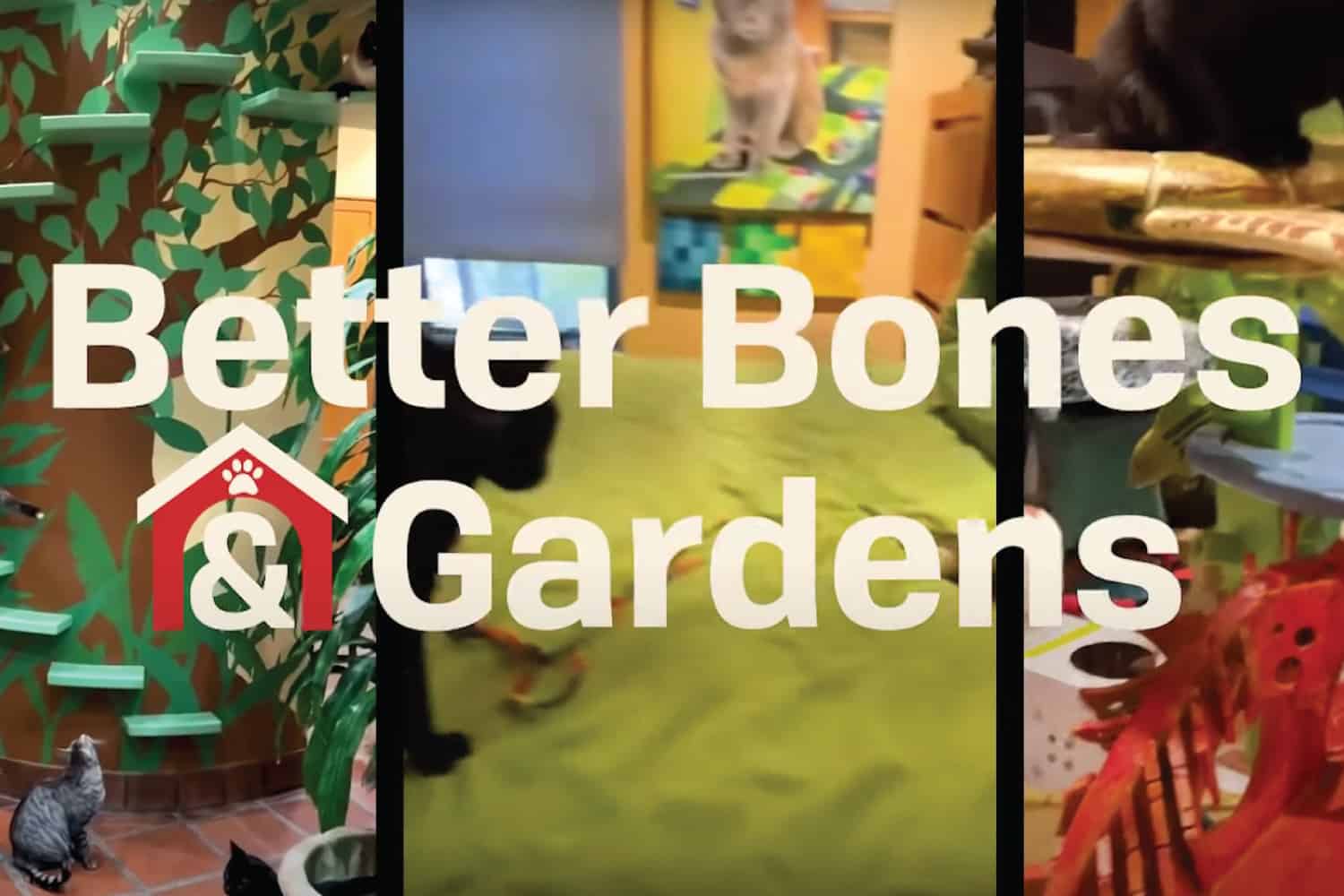 Better Bones & Garden