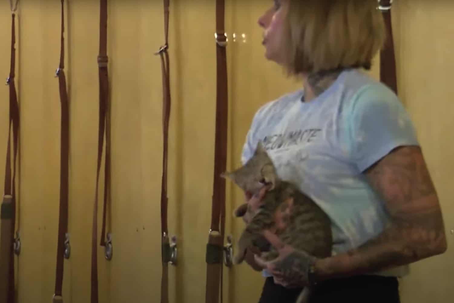 Fitness trainer holding kitten