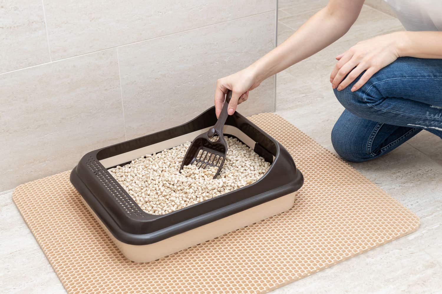 Cleaning the cat litter box using a special scoop