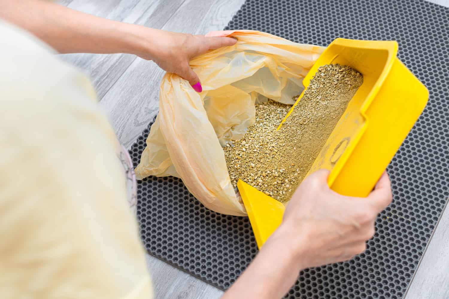 Pouring cat litter to plastic bag