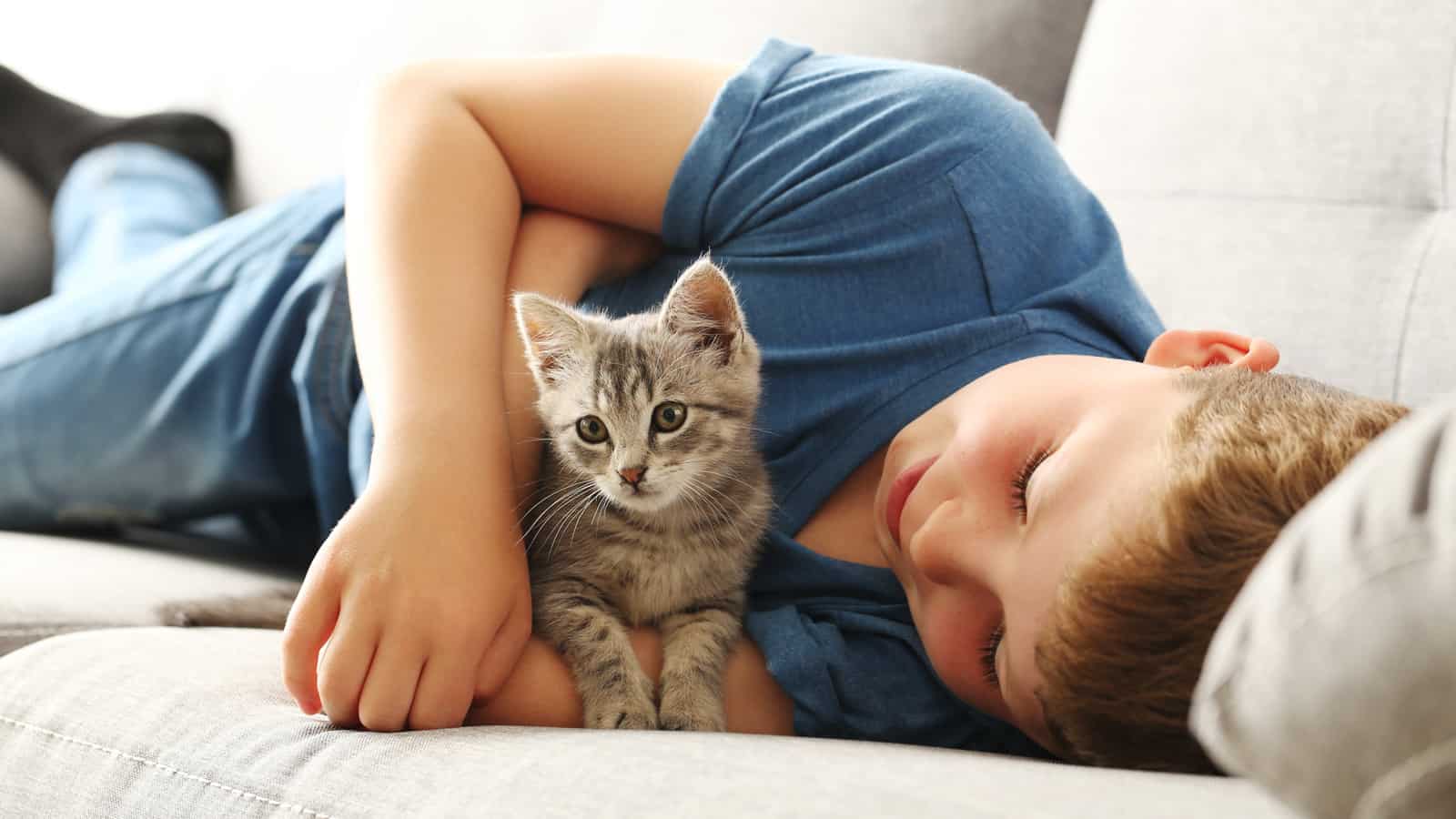 Child with kitten on grey sofa at home
