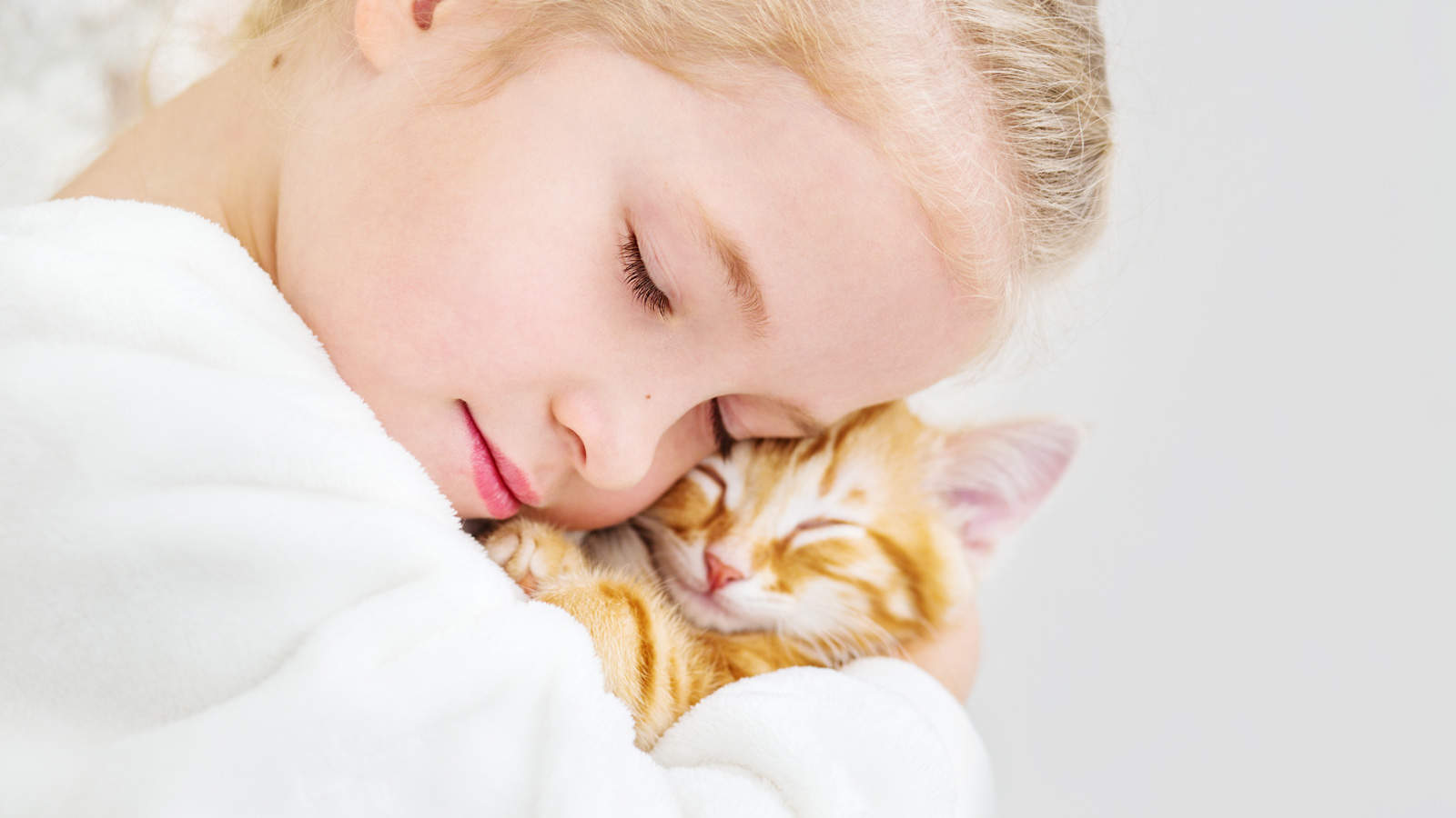 cute little girl holding a kitten on a ginger hand on a white background
